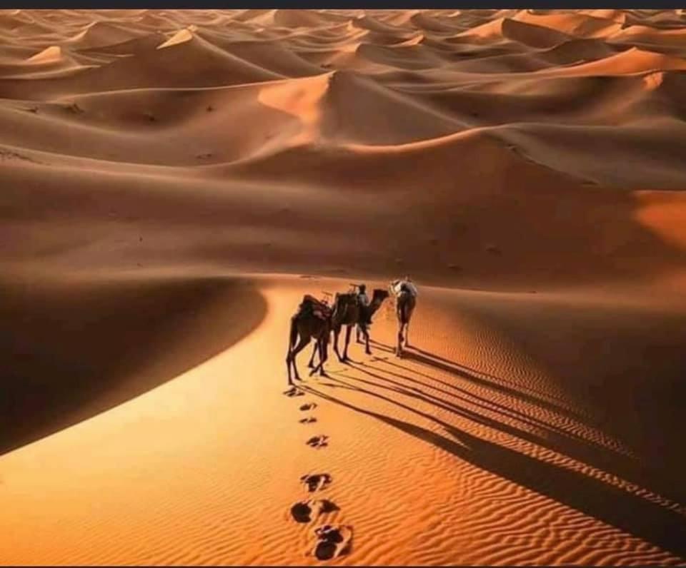 Camp Desert Bivouac Chegaga El Gouera Екстер'єр фото
