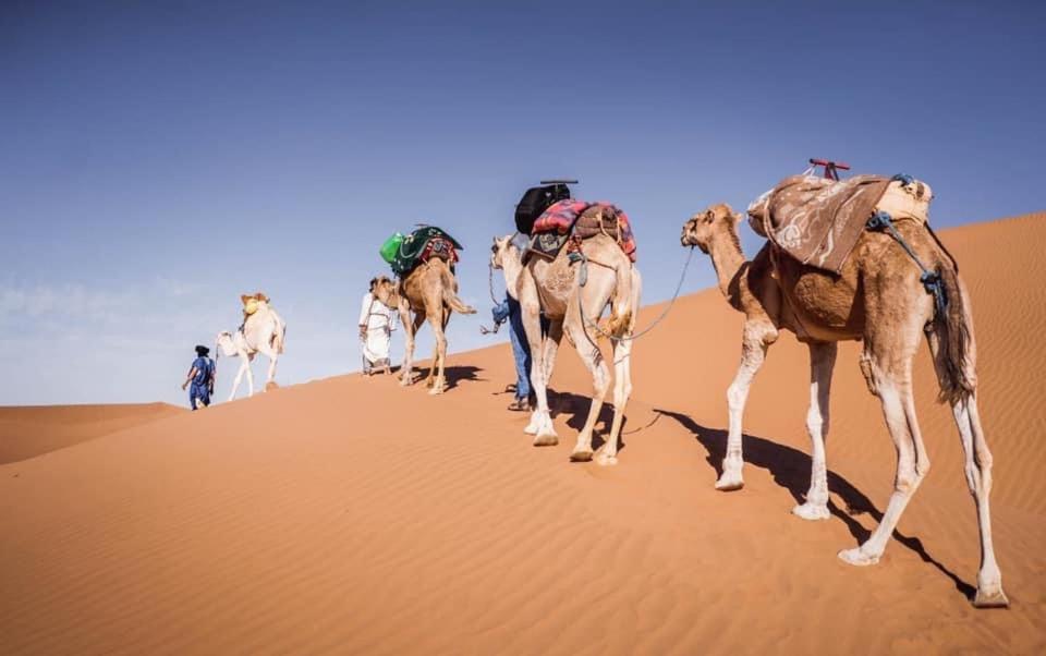 Camp Desert Bivouac Chegaga El Gouera Екстер'єр фото