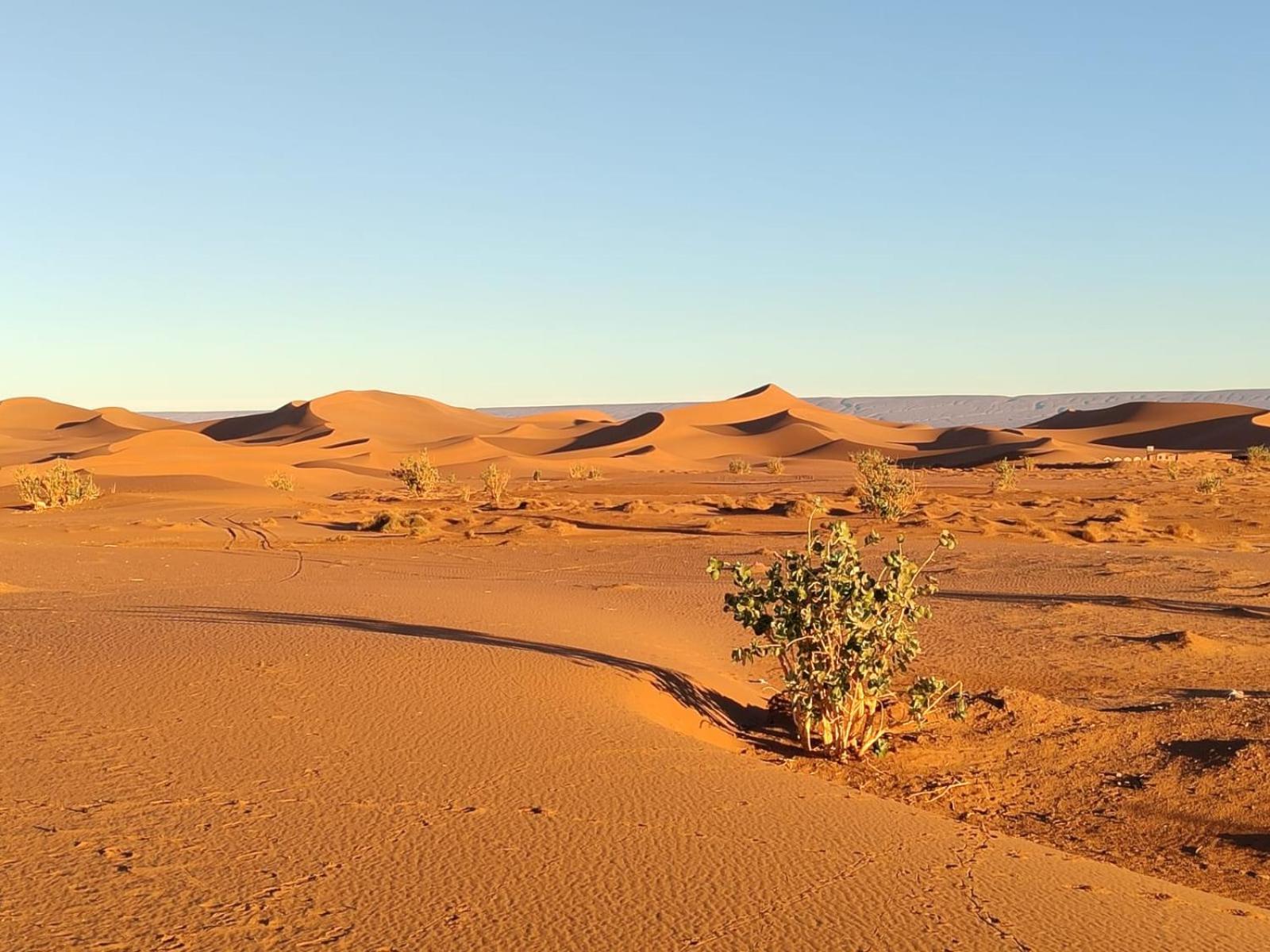 Camp Desert Bivouac Chegaga El Gouera Екстер'єр фото
