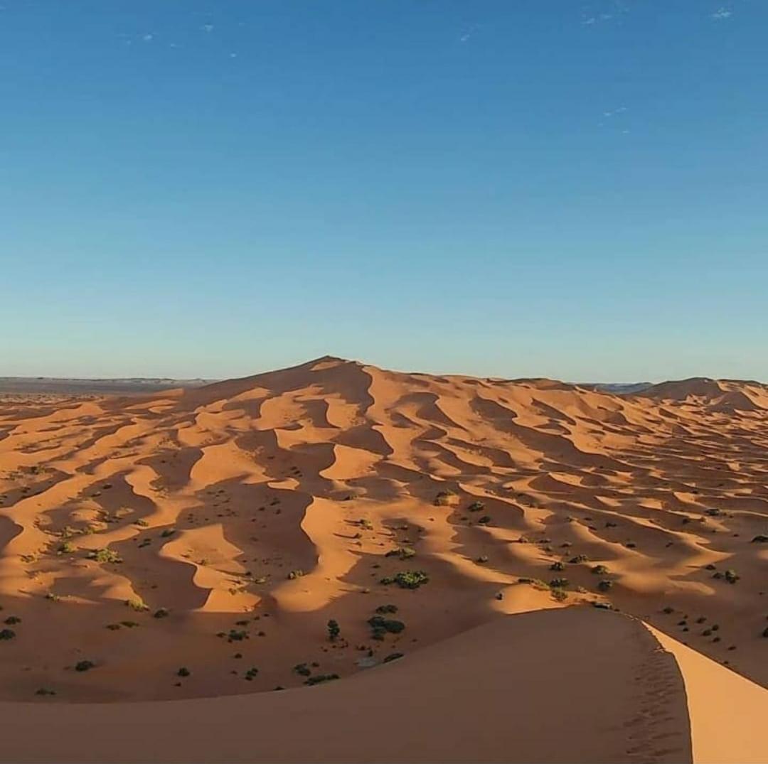 Camp Desert Bivouac Chegaga El Gouera Екстер'єр фото
