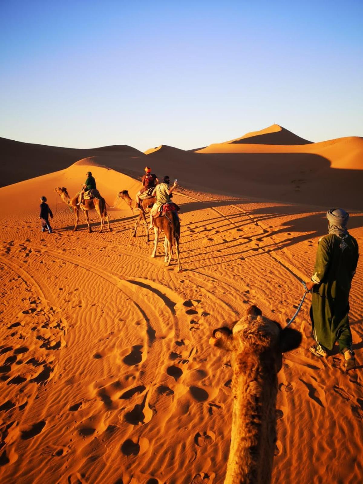Camp Desert Bivouac Chegaga El Gouera Екстер'єр фото