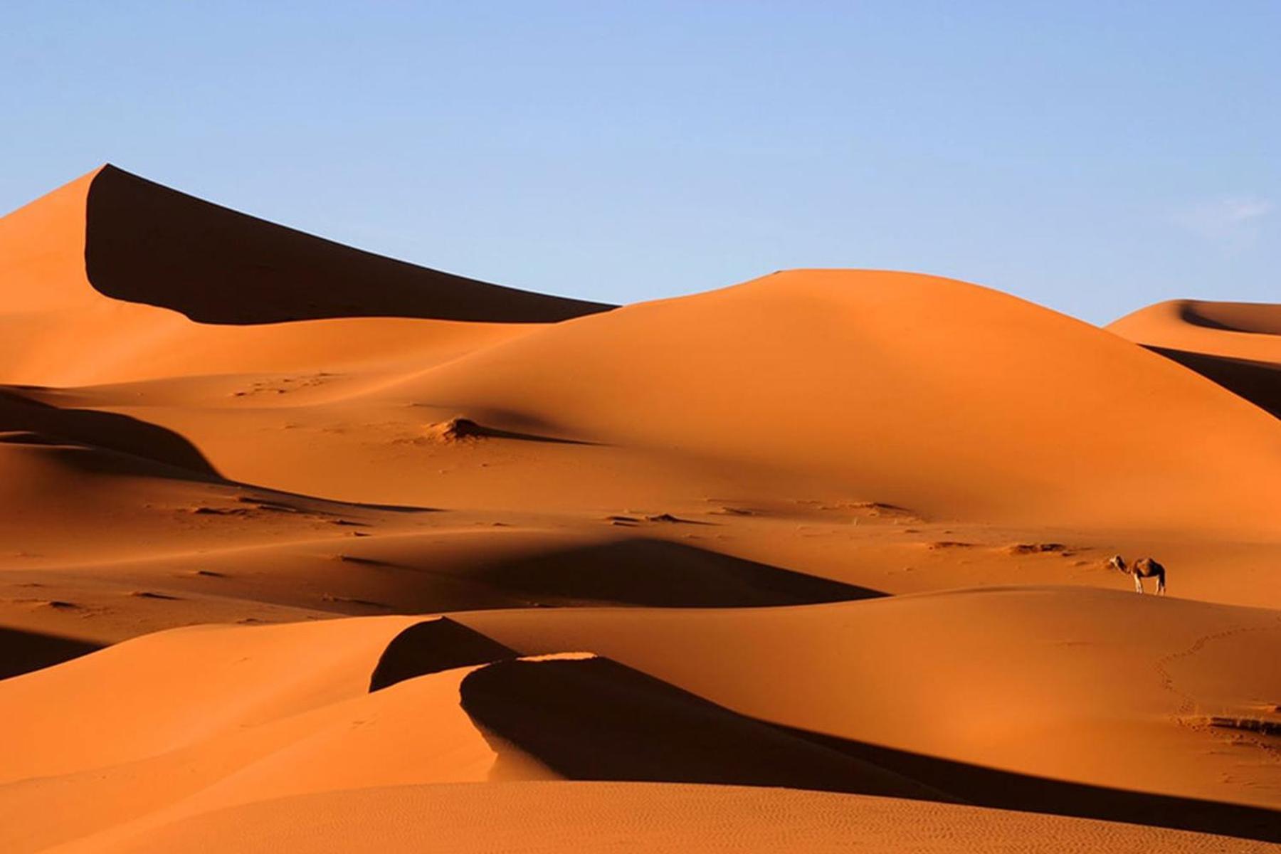 Camp Desert Bivouac Chegaga El Gouera Екстер'єр фото